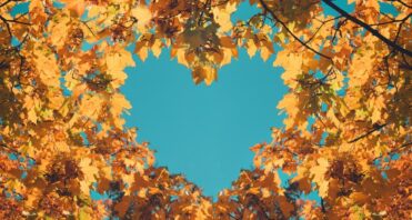 autumn heart leaves