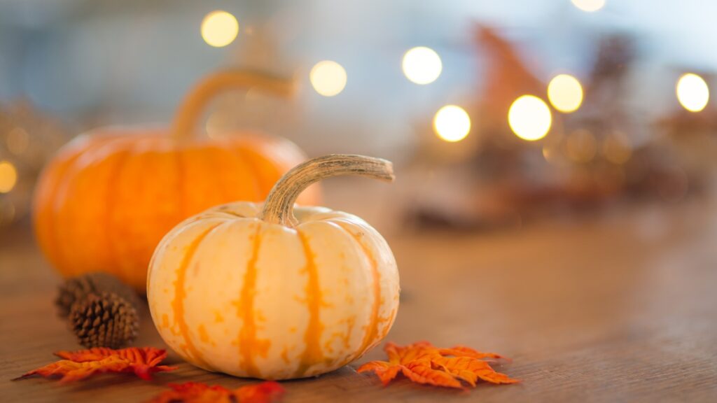 pumpkins bokeh leaves pinecones autumn Thanksgiving