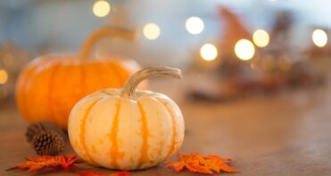 pumpkins bokeh leaves pinecones autumn Thanksgiving