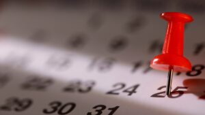 Calendar Pin